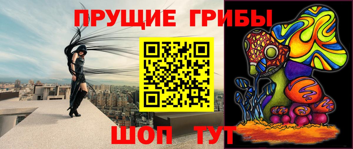 Псилоцибиновые грибы Cubensis  Вход с VPN  Псилоцибиновые грибы ЛСД  Новый Уренгой 